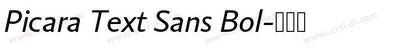 Picara Text Sans Bol字体转换 Picara Text Sans Bol字体转换